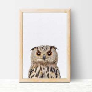 Woodland Owl Wall Art Print