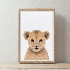 Safari Baby Lion Wall Art Print